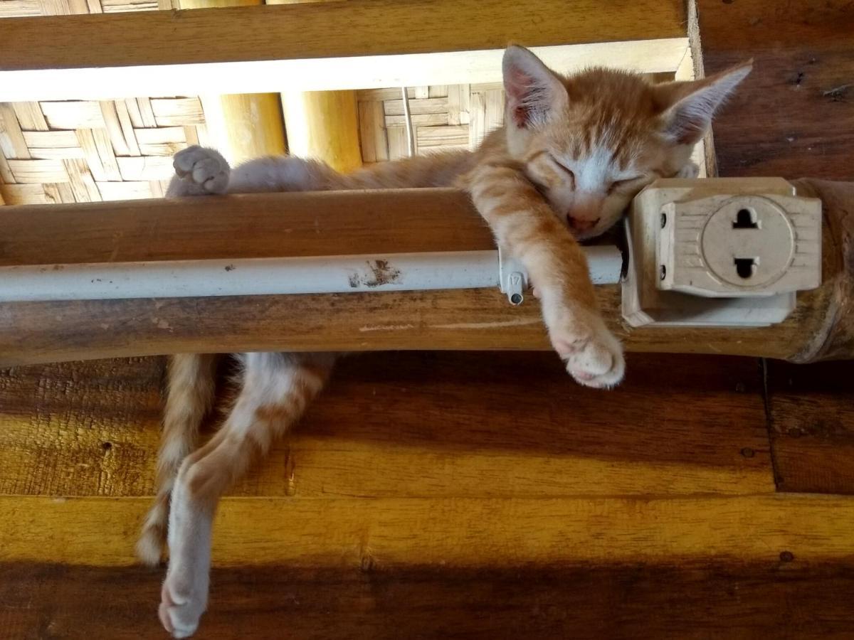 Harry'S Ocean House Watukarung Homestay Kalak Kültér fotó