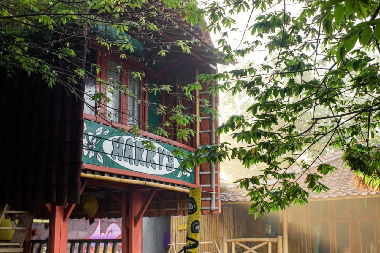 Harry'S Ocean House Watukarung Homestay Kalak Kültér fotó
